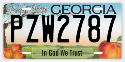 GA license plate PZW2787