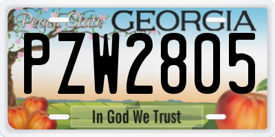 GA license plate PZW2805