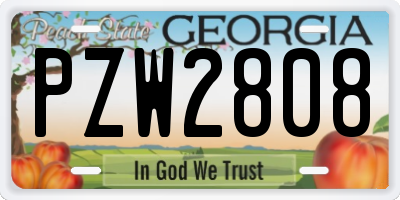 GA license plate PZW2808