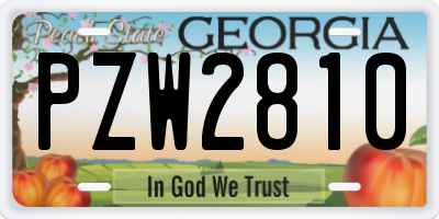 GA license plate PZW2810