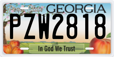 GA license plate PZW2818