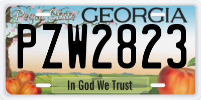 GA license plate PZW2823