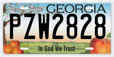 GA license plate PZW2828