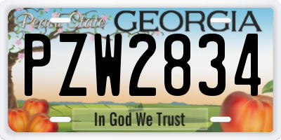 GA license plate PZW2834
