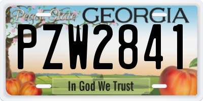 GA license plate PZW2841
