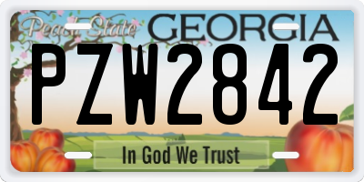 GA license plate PZW2842