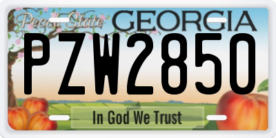 GA license plate PZW2850