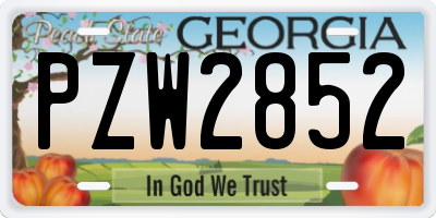 GA license plate PZW2852