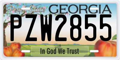 GA license plate PZW2855