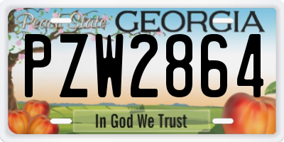 GA license plate PZW2864