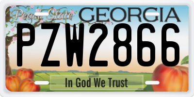 GA license plate PZW2866