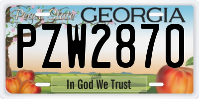GA license plate PZW2870