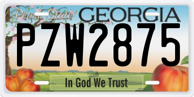 GA license plate PZW2875