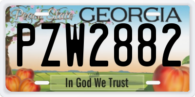 GA license plate PZW2882