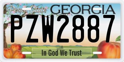 GA license plate PZW2887