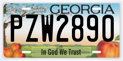 GA license plate PZW2890