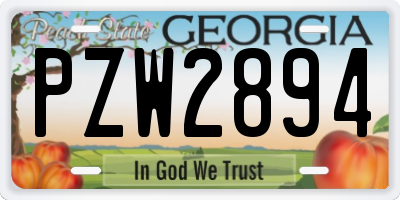 GA license plate PZW2894