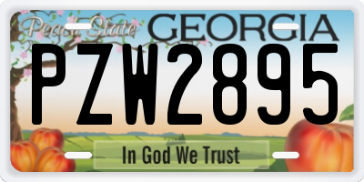 GA license plate PZW2895