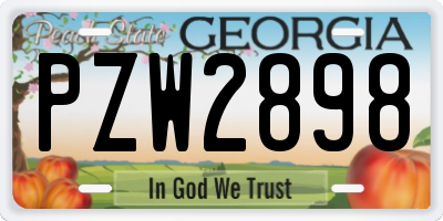 GA license plate PZW2898