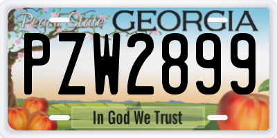 GA license plate PZW2899