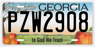 GA license plate PZW2908