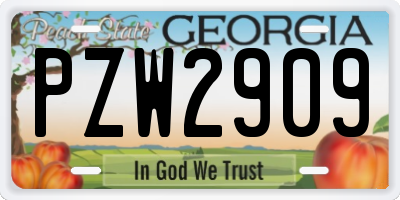 GA license plate PZW2909