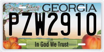 GA license plate PZW2910