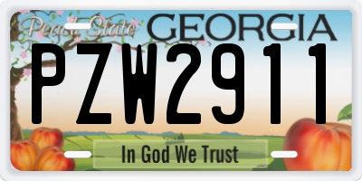 GA license plate PZW2911
