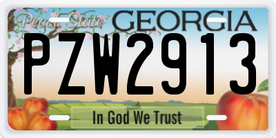 GA license plate PZW2913
