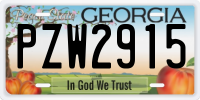 GA license plate PZW2915