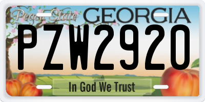 GA license plate PZW2920