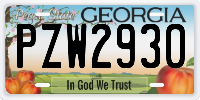 GA license plate PZW2930