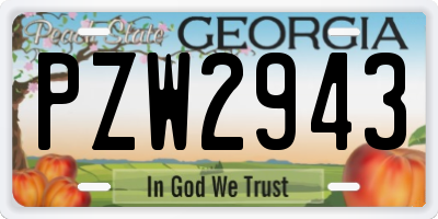 GA license plate PZW2943