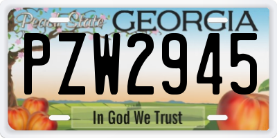 GA license plate PZW2945