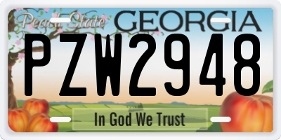 GA license plate PZW2948