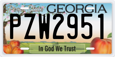GA license plate PZW2951