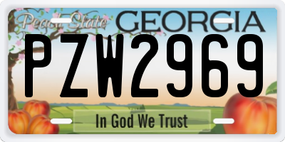 GA license plate PZW2969