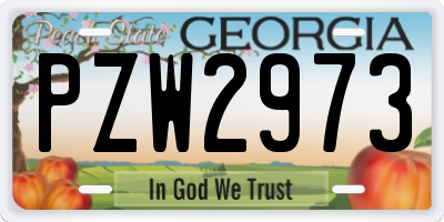 GA license plate PZW2973