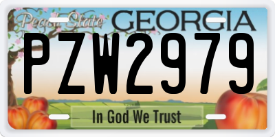 GA license plate PZW2979
