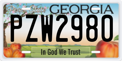 GA license plate PZW2980