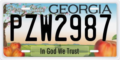 GA license plate PZW2987