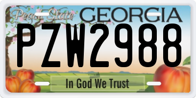 GA license plate PZW2988