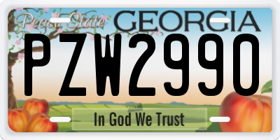 GA license plate PZW2990