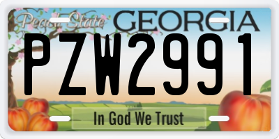 GA license plate PZW2991