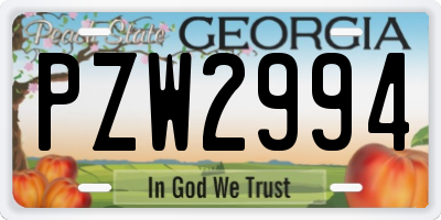 GA license plate PZW2994