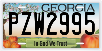 GA license plate PZW2995