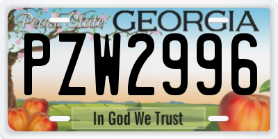 GA license plate PZW2996