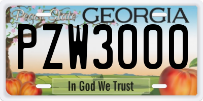 GA license plate PZW3000