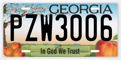 GA license plate PZW3006