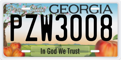 GA license plate PZW3008